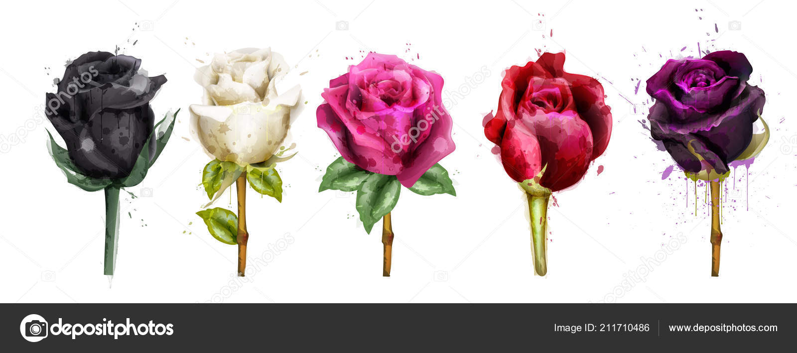 水彩のカラフルなバラは コレクション ベクトルを設定します ブラック ローズ ピンク 赤の花 美しい細かい花イラスト ストックベクター C Inagraur Ymail Com