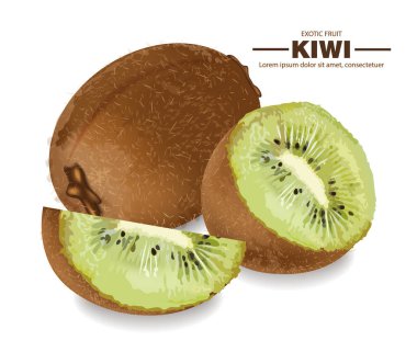 Kiwi fruits Vector realistic. Detailed 3d illustration fruits mok up banners clipart