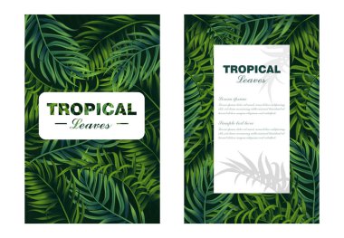 Tropic kartı vektör gerçekçi bırakır. ayrıntılı 3d egzotik palmiye yaprağı