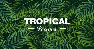 Tropic kartı vektör gerçekçi bırakır. ayrıntılı 3d egzotik palmiye yaprak afiş