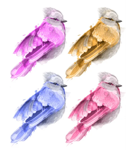 Bunte Aquarell kleinen Vogel Vektor. schöne Illustration gemalte Stile — Stockvektor