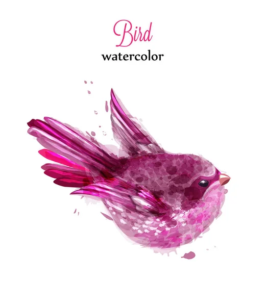 Pájaro pequeño Colorida acuarela Vector. hermosa ilustración pintada estilos — Vector de stock