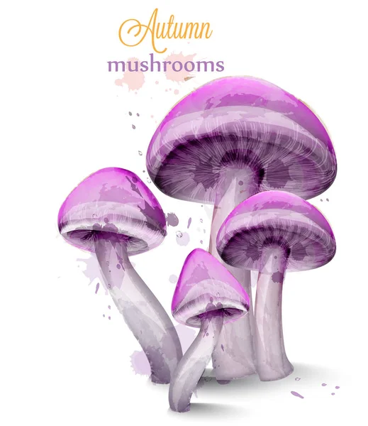 Фіолетові гриби акварель Вектор ізольовані на білому фоні — стоковий вектор