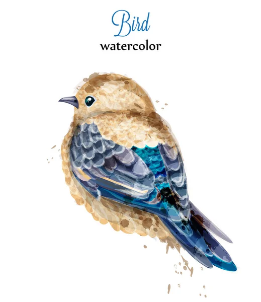 Acuarela pájaro Vector. Coloridas ilustraciones de estilo pintado — Archivo Imágenes Vectoriales