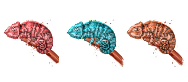 Chameleon Aquarel Vector Instellen Kleurrijk Geschilderde Stijl Illustratie — Stockvector