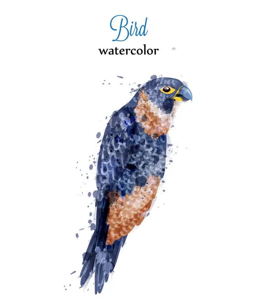 Papegaai aquarel Vector tropic bird. Kleurrijk geschilderde stijl illustraties — Stockvector