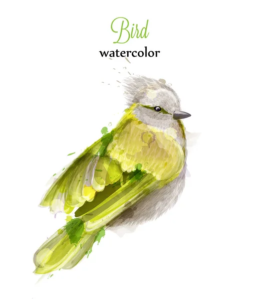 Gele vogel aquarel Vector. Kleurrijk geschilderde stijl illustraties — Stockvector