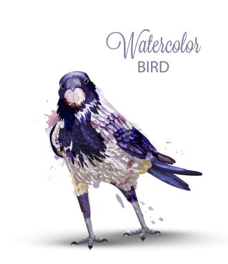 Vektör bir somun suluboya Crow'la. Sonbahar sezonu beyaz arka plan üzerinde kuş izole