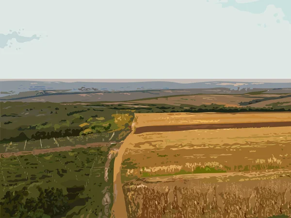 Antenne rustikale Landschaft Vektor Hintergrund. Herbst Herbst Saison Weizenernte — Stockvektor