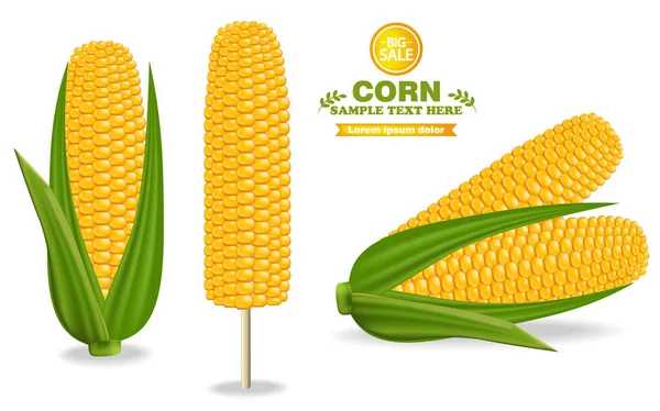 Cosecha de maíz Vector. Ilustración detallada decoración de etiquetas decoración 3d banner — Vector de stock