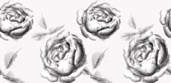 Троянди квіти лінії мистецтва сплеск ефекту плями Вектор. Вінтажні стилі чорнила — стоковий вектор