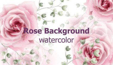 Gül çiçek suluboya vektör arka plan. Hassas vintage pastel pembe renk çiçek dekorlar afiş