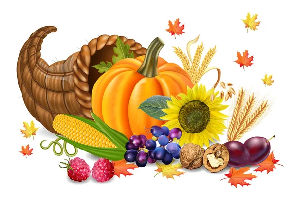 Herfst oogst realistische Vector. Pompoen en zonnebloem. Herfst 3d gedetailleerde symbolen-illustraties — Stockvector