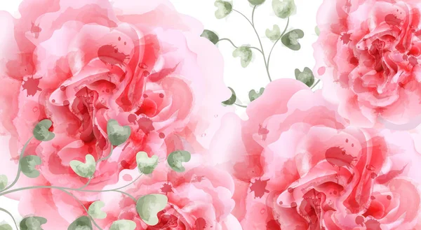 Růžová růže akvarel zázemí vektoru. Pohled shora. Pozvánky, svatební obřad, jemná pohlednice, blahopřání den žen. Krásné barvy — Stockový vektor