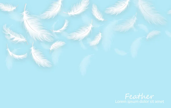 Feathers Background Vector Realista Plumas Blancas Plantilla Tarjeta Azul — Archivo Imágenes Vectoriales