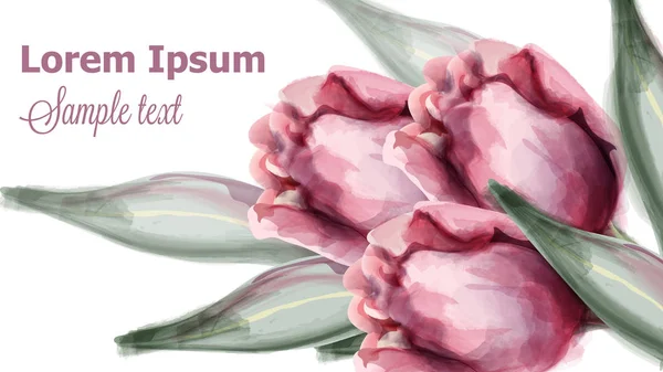 ピンクのチューリップの花の背景ベクトル水彩画。春夏の装飾イラスト — ストックベクタ