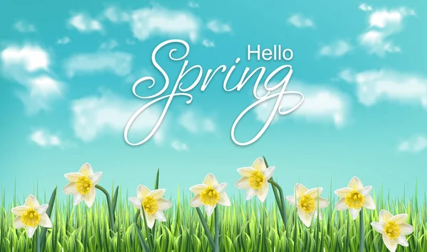 Tarjeta de primavera narcisos campos de flores y cielo azul Vector realista — Archivo Imágenes Vectoriales