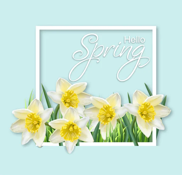 Jarní květiny Narcis rámu vektor realistické. Delikátní kartu kytice. Jarní zprávy texty — Stockový vektor
