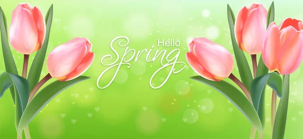 Flores de tulipán delicado ramo Vector realista. Ilustraciones de tarjetas de temporada primavera verano. Fondos verdes de Bokeh — Archivo Imágenes Vectoriales