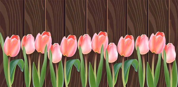 White tulip flowers Vector realistic banner. Spring season template 3d illustrations — Stock Vector