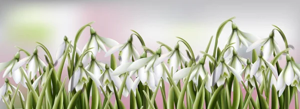 Snowdrops 꽃 벡터 수채화 봄 여름 유행 배경 — 스톡 벡터