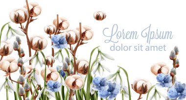 Pamuk çiçek arka plan vektör suluboya. Bahar sezonu hassas çerçeve. Düğün, Doğum günü, Anne gün için şablon tasarım kartı