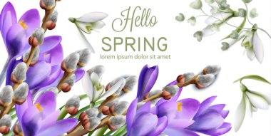 Çiğdem çiçek vektör suluboya. Bahar sezonu hassas çerçeve. Düğün, Doğum günü, Anne gün için şablon tasarım kartı