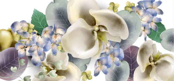 Orchidea virágok vintage banner vektor akvarell. Finom szezonális háttér. Szép tavaszi Virágos formatervezési — Stock Vector