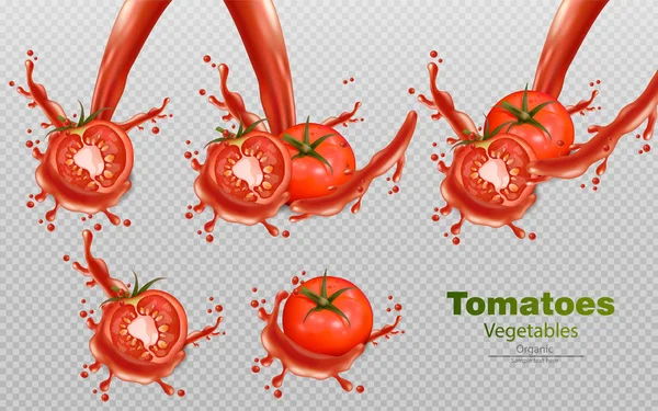 Tomat splash terisolasi Vector realistis. Templat ilustrasi 3d terrinci untuk label, ikon, penempatan produk - Stok Vektor