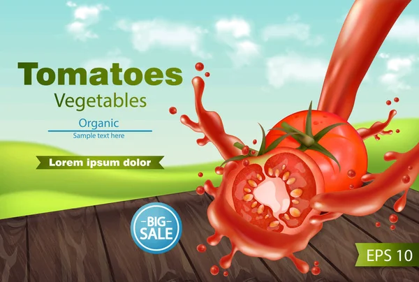 Tomaten, snijd splash Vector realistisch. Groene eco achtergrond. Gedetailleerde 3D-sjabloon voor spandoek voor label, pictogram, productplaatsingen — Stockvector