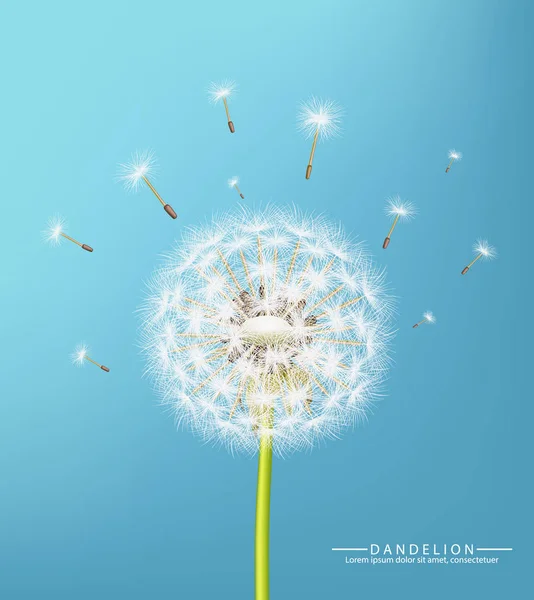 Flor de diente de león de primavera Vector realista. Cielo fondo suave bokeh ilustraciones — Vector de stock