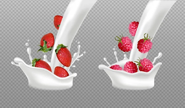 Milk splash with berry fruits Vector realistic. Strawberry and raspberry fresh fruit in milk or yogurt splash. 3d detailed illustration effects