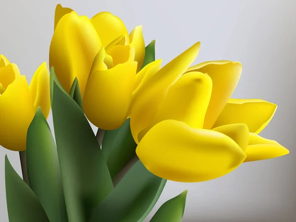 Cartão amarelo da mola das tulipas Vector. Belos buquês naturais — Vetor de Stock