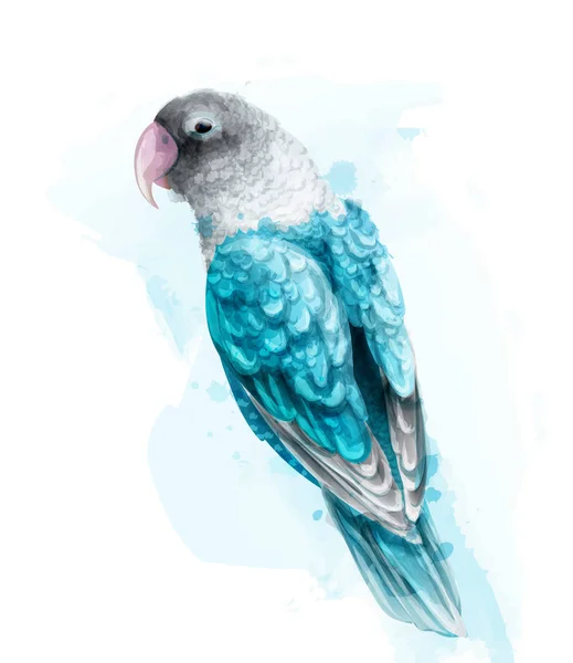 트로픽 다채로운 앵무새 새 벡터 수채화 귀여운 새 그림입니다. 블루 색상 splashs — 스톡 벡터