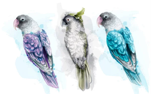 Colorato pappagallo tropicale uccelli acquerello vettoriale. Belle collezioni di set esotici — Vettoriale Stock