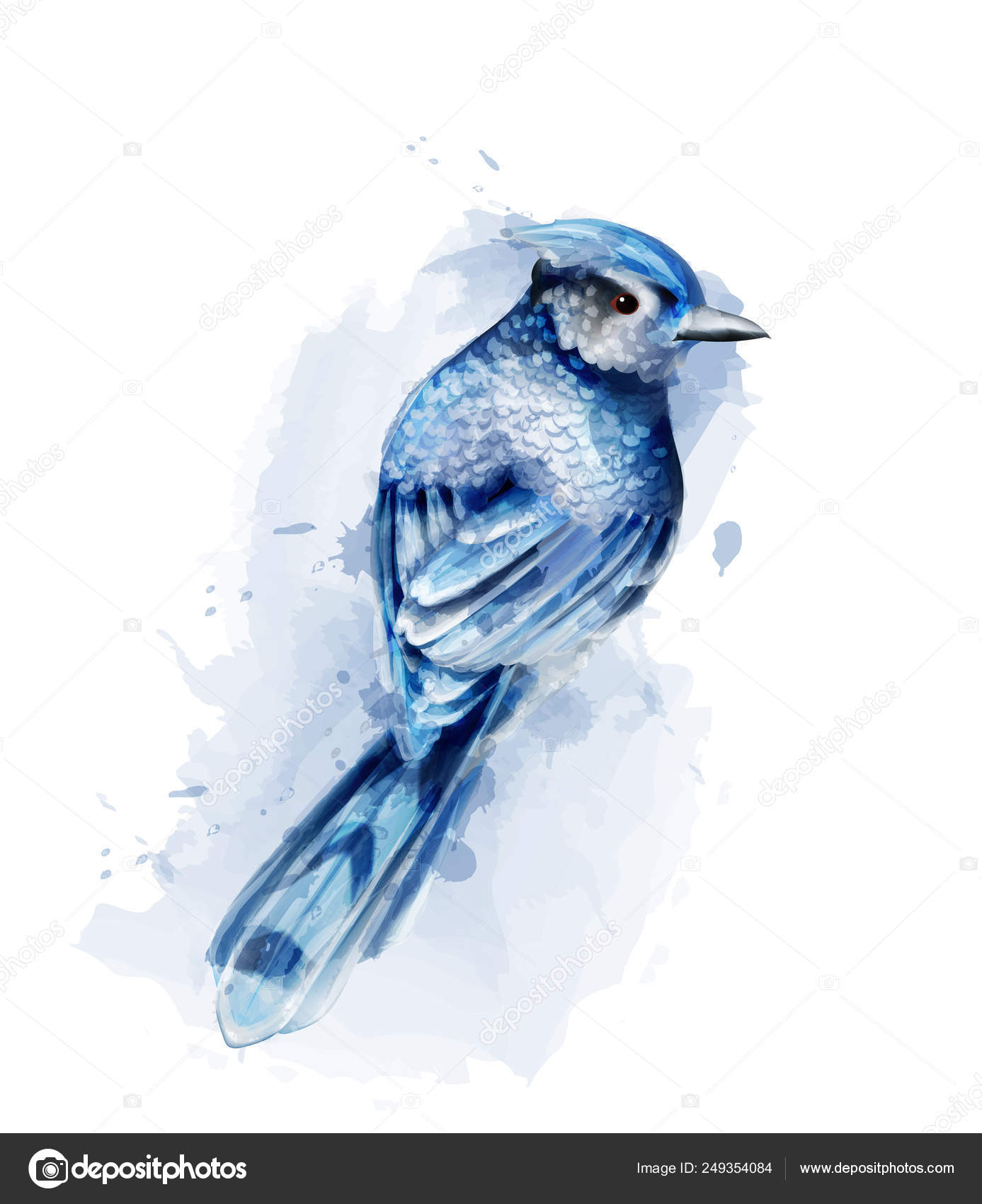26 Watercolor Blue Jay Vector Images Watercolor Blue Jay Illustrations Depositphotos