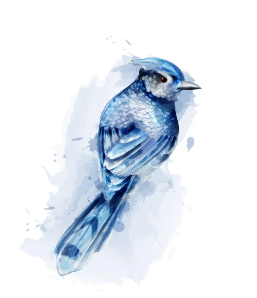 Pássaro azul bonito aquarela Vetor isolado no branco. Desenhos vintage — Vetor de Stock