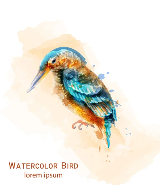 Pájaro pescador Vector acuarela. Colorido pájaro tropical aislado en blancos — Archivo Imágenes Vectoriales