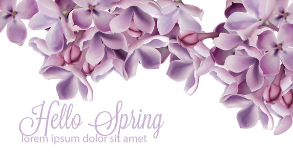 こんにちは春の背景に紫のライラックの花ベクトル水彩画。ロマンチックな花結婚式やグリーティング カードの装飾。女性の日、バレンタインデー、販売やその他イベント — ストックベクタ
