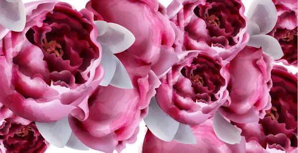 Rosa peônia flores fundo aquarela Vetor. Convite floral romântico ou decoração de cartão de saudação. Dia das mulheres, Dia dos Namorados, vendas e outros eventos — Vetor de Stock