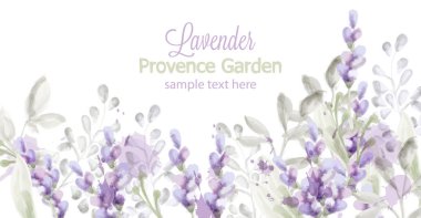 Lavanta kartı Vektör suluboya. Provence çiçekler afiş arka planlar