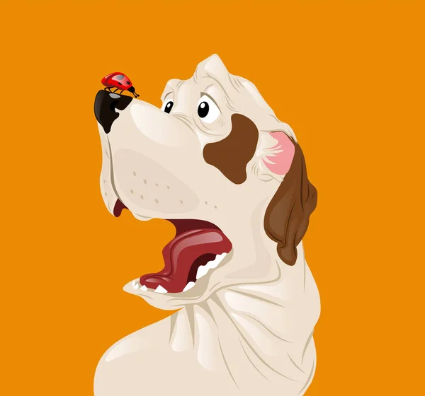 Dog scared of a ladybug Vector. Funny cartoon characters — Stock Vector