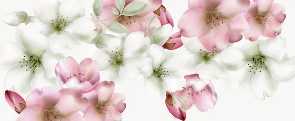 桜の花水彩ベクトル。繊細な春の花の背景 — ストックベクタ