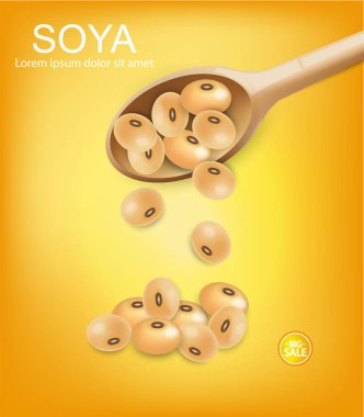 Tahta kaşık Vektör gerçekçi soya fasulyesi. Sarı arka planlar