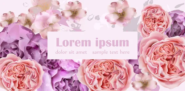 Şakayık bahar çiçekleri Vektör suluboya. renkli mevsimsel arka planlar