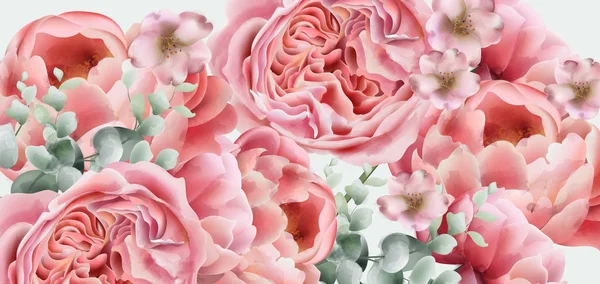 Peonía flores de primavera Vector. fondos coloridos decoración de temporada — Archivo Imágenes Vectoriales