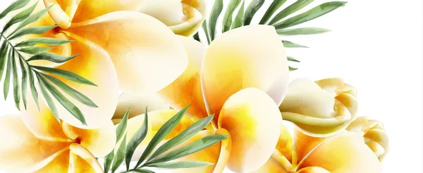 プルメリア黄色の花 ベクトル水彩画。夏の時間パラダイスカード。結婚式の招待状。エキゾチックなフェスティバルの背景 — ストックベクタ