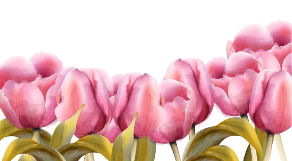 Aquarell Tulpen Vektor. Vintage exotische Blumen Banner Sommerfeste — Stockvektor