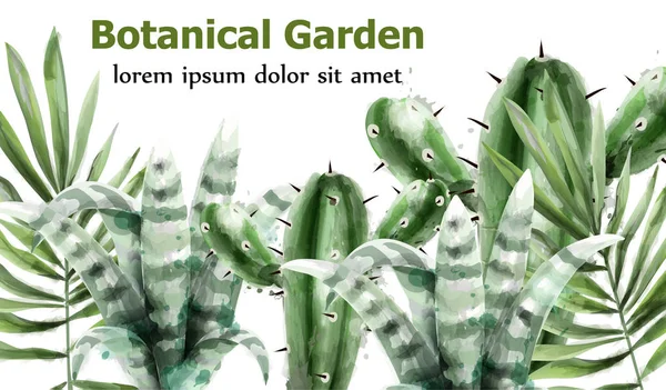 Cacto e suculentas jardim botânico aquarela Vector — Vetor de Stock