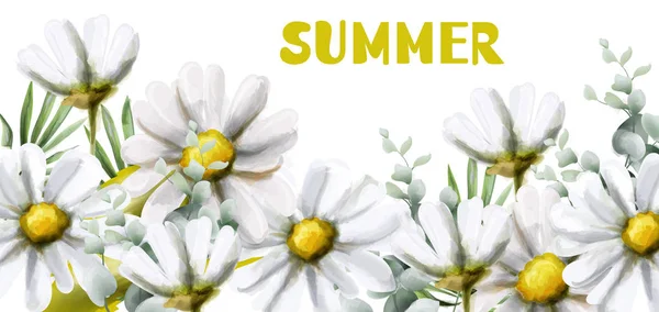 Camomila fundo verão Vector aquarela. Flores vintage cores brancas. Delicado moldura decorações — Vetor de Stock
